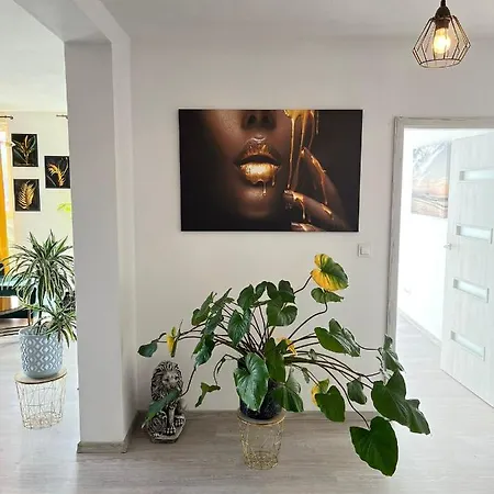 Apartament Prestige W Centrum Miasta Z 2 Tarasami I Parkingiem!